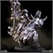 Knights of the Beast - Beastsworn Marauders Multipart Kit 2248 - фото 18706