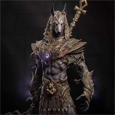 Anubis FAN05-CA3DS11 - фото 22997