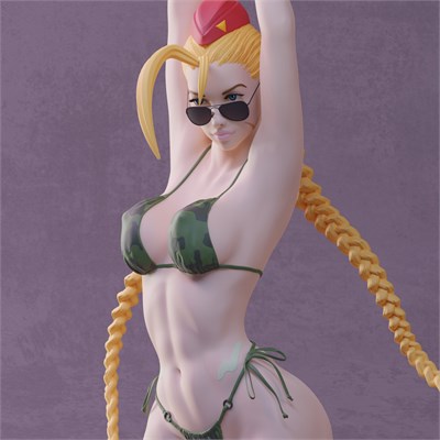 Cammy Bikini - Street Fighter (18+) MOV11-ABE05 - фото 24510