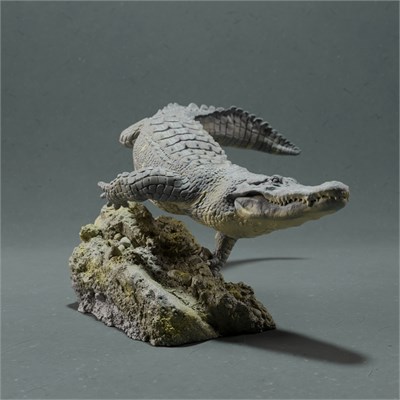 American Alligator swim AN01-ADM01-02 - фото 25014