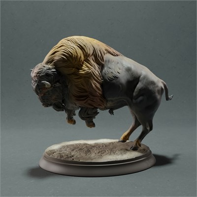 American Bison charging AN01-ADM03-02 - фото 25040