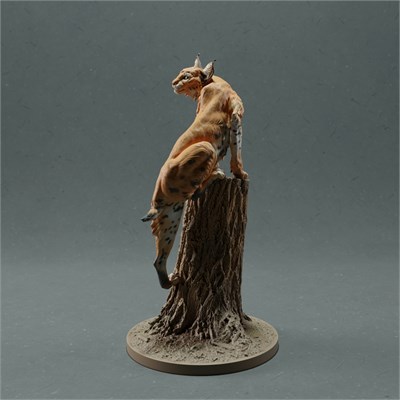 Bobcat climb AN01-ADM04-02 - фото 25065