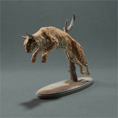 Bobcat leep AN01-ADM04-03 - фото 25085
