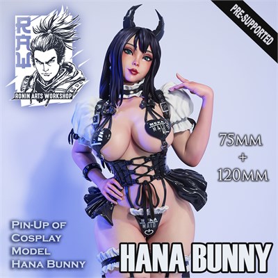 Hana Bunny FAN14-RA21