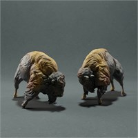 American Bison fight AN01-ADM03-03