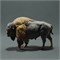 American Bison AN01-ADM03-01