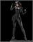 Catwoman (фигурка и бюст) MOV08-ZEZ02 Catwoman (фигурка и бюст) MOV08-ZEZ02