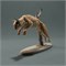 Bobcat leep AN01-ADM04-03 - фото 25085