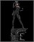 Catwoman (фигурка и бюст) MOV08-ZEZ02