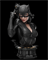 Catwoman (фигурка и бюст) MOV08-ZEZ02